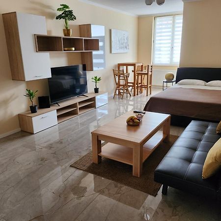 Studio Apartman Borlin 카를로바츠 외부 사진
