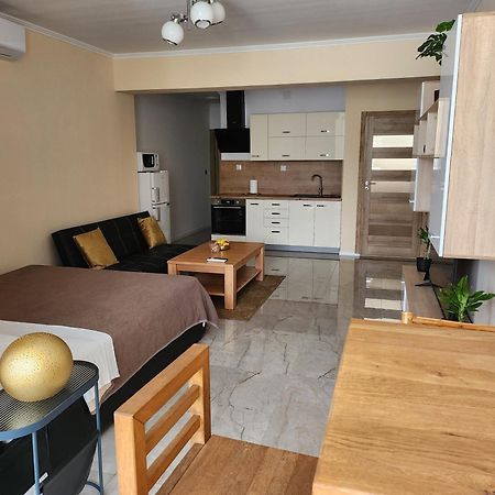 Studio Apartman Borlin 카를로바츠 외부 사진